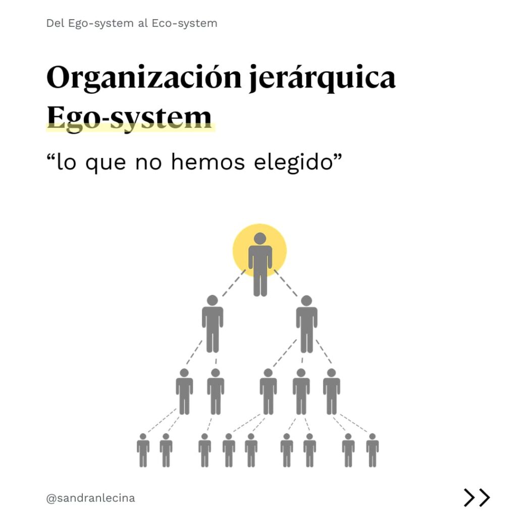 organizacion jerarquica ego system